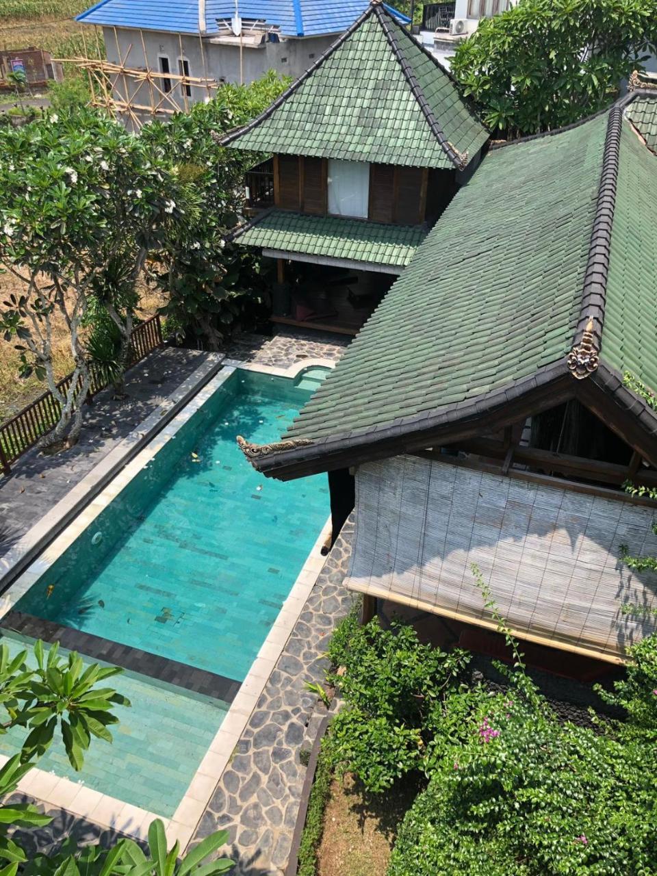 Tribe Theory Startup Village For Entrepreneurs Kuta  Exterior photo